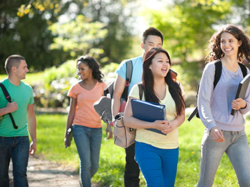 网站攻击软件工具